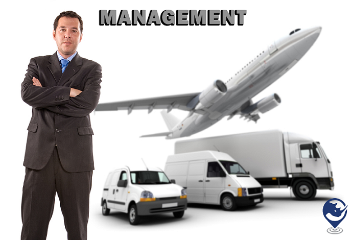 ROI Series Management