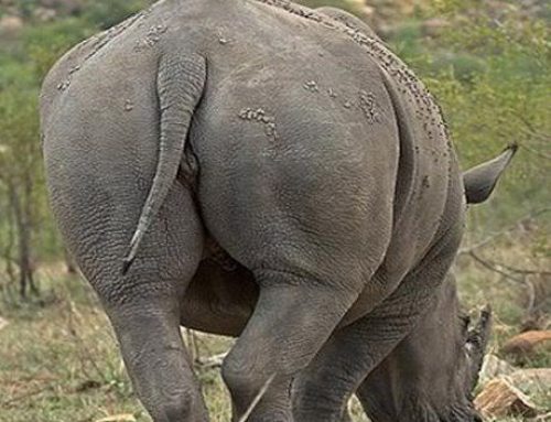 Cover Your ASSets: Using Asset Tracking to Protect Your Business