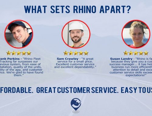 What Led to Rhino’s Success?